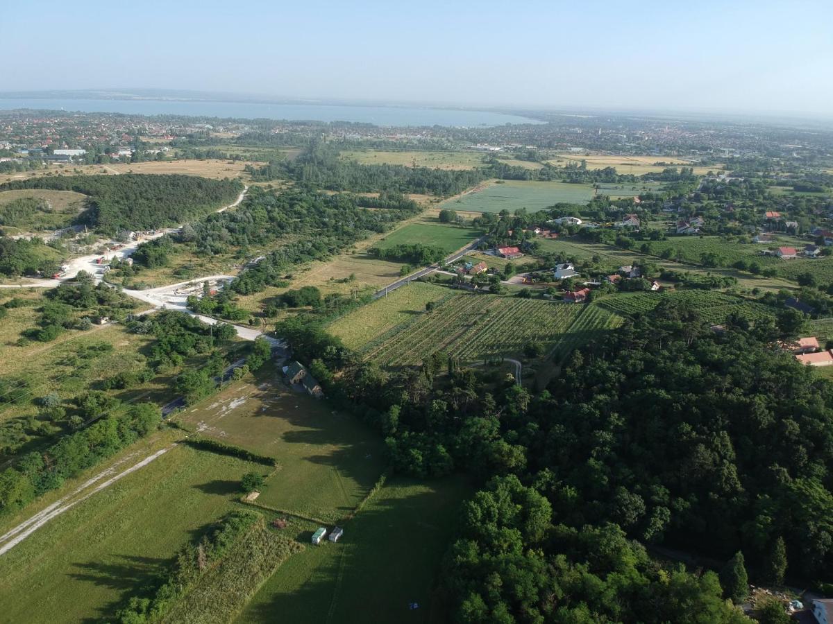 Pilikan Apartments - Park, Agroturism, Vineyard & Farm Черсегтомай Экстерьер фото