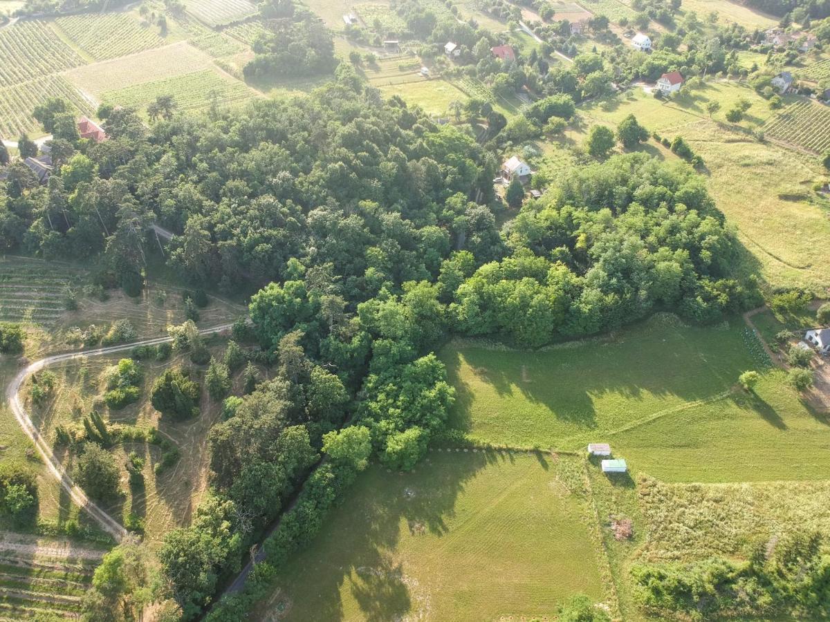 Pilikan Apartments - Park, Agroturism, Vineyard & Farm Черсегтомай Экстерьер фото