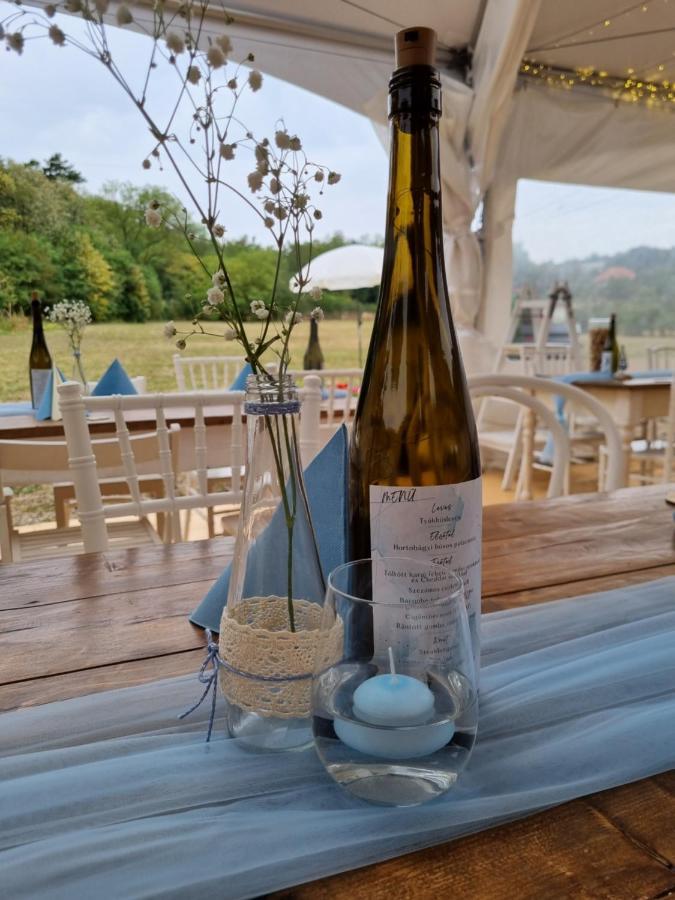 Pilikan Apartments - Park, Agroturism, Vineyard & Farm Черсегтомай Экстерьер фото